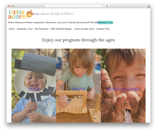 Bricksy Pro WordPress theme - littleacornsd.com