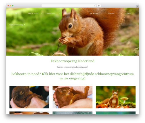 Paytium pro WordPress plugin - eekhoornopvang.nl