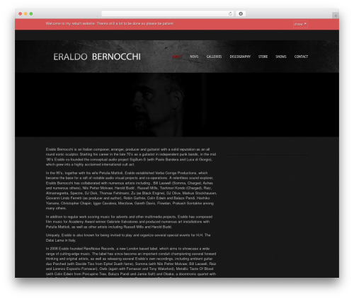 Theme WordPress Musicpro - eraldobernocchi.com