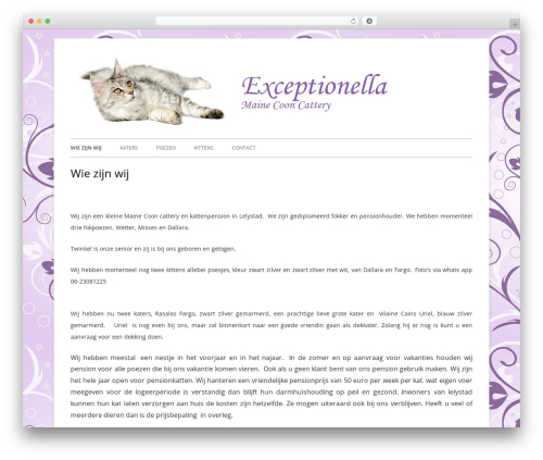 Tiny Forge WordPress page theme - exceptionella.nl