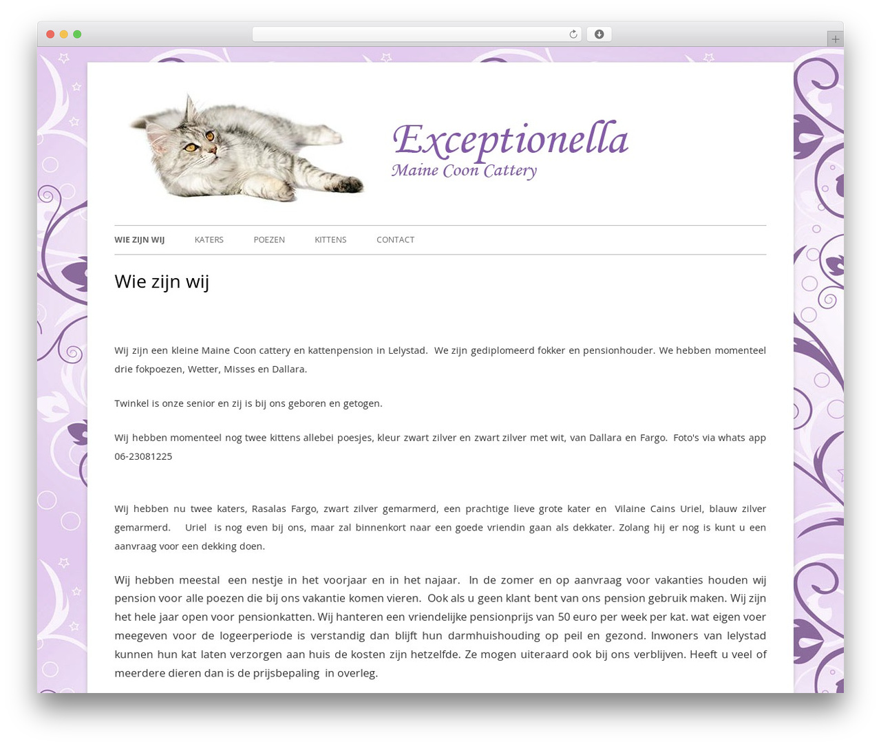 Tiny Forge WordPress page theme - exceptionella.nl Tiny Forge WordPress page theme - exceptionella.nl