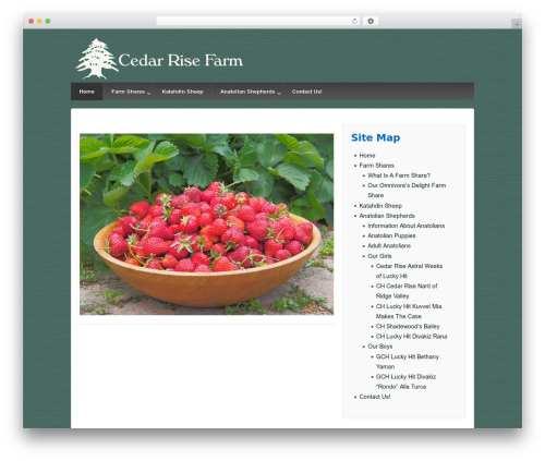 WordPress theme Responsive Pro - cedarrisefarm.com