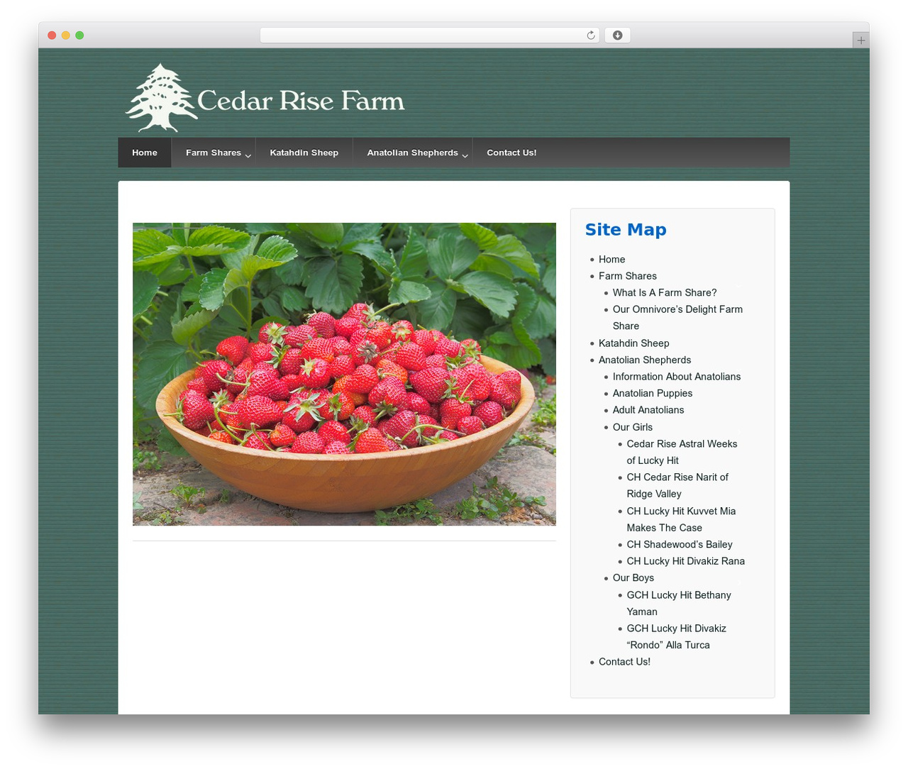 WordPress theme Responsive Pro - cedarrisefarm.com WordPress theme Responsive Pro - cedarrisefarm.com