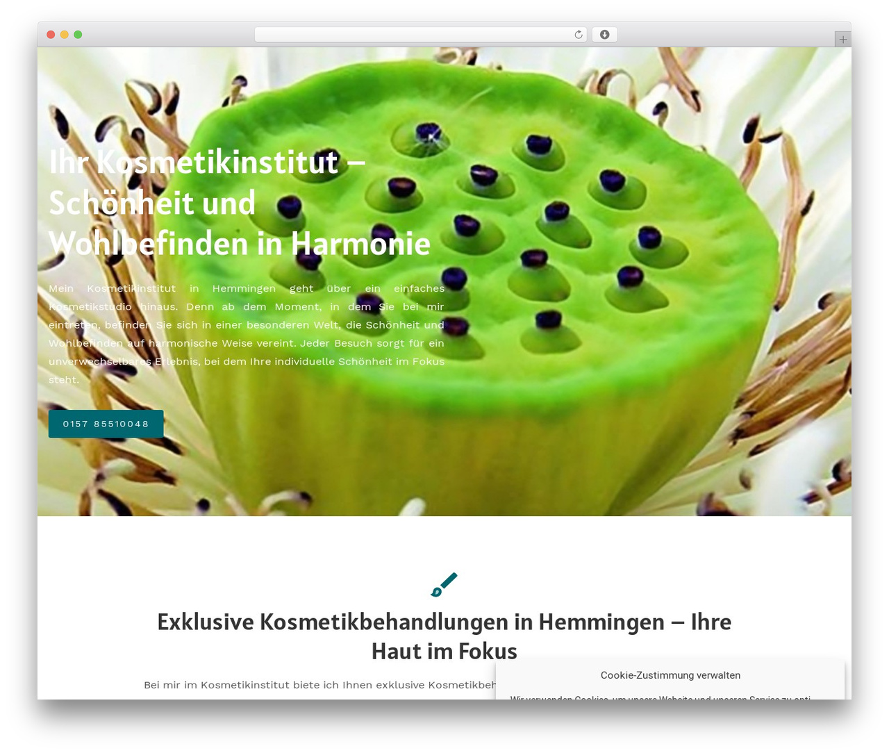 Constructor WordPress theme - natuerlichschoenkosmetik.de