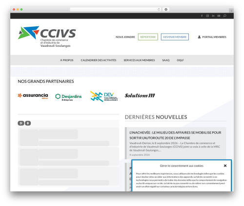 the7dtchild premium WordPress theme - ccivs.ca