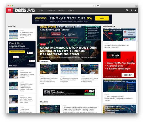 Theia sticky sidebar WordPress plugin - tradinguang.com