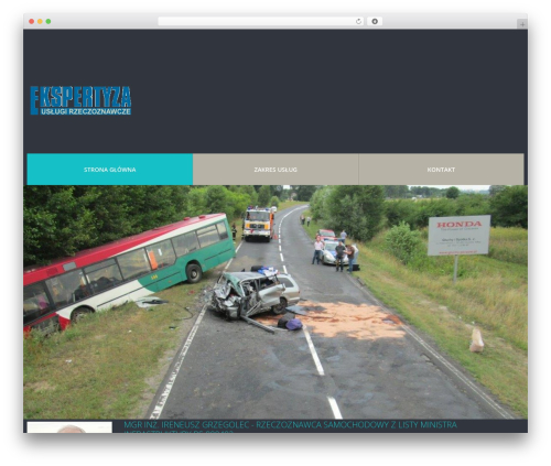 WordPress website theme cherry - ekspertyza.net