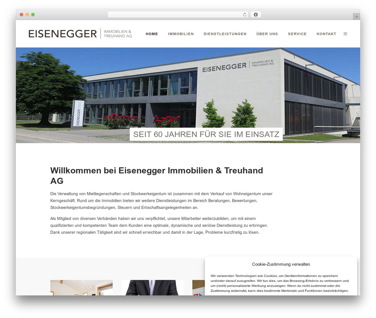 Bridge WordPress theme - eiseneggerag.ch