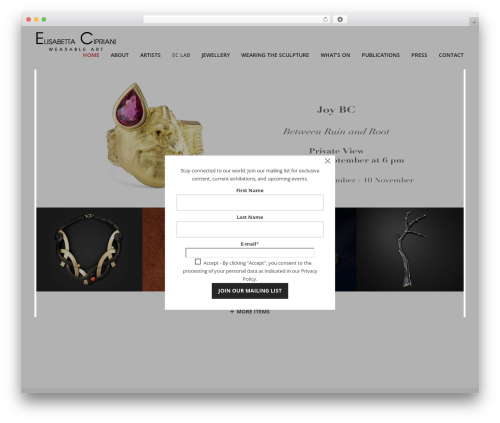 Canvas WordPress theme - elisabettacipriani.com Canvas WordPress theme - elisabettacipriani.com
