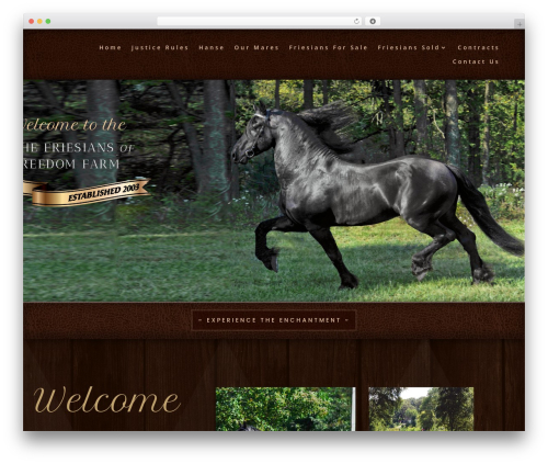 Divi WordPress theme - tfffllc.com