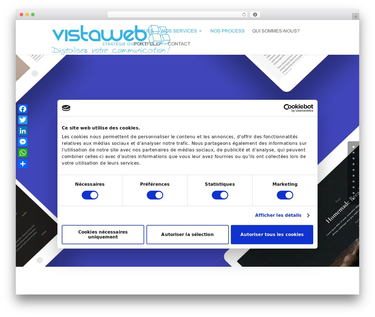 Divi WordPress theme - vistawebsolution.com