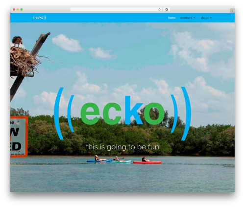 Divi WP theme - eckotours.com
