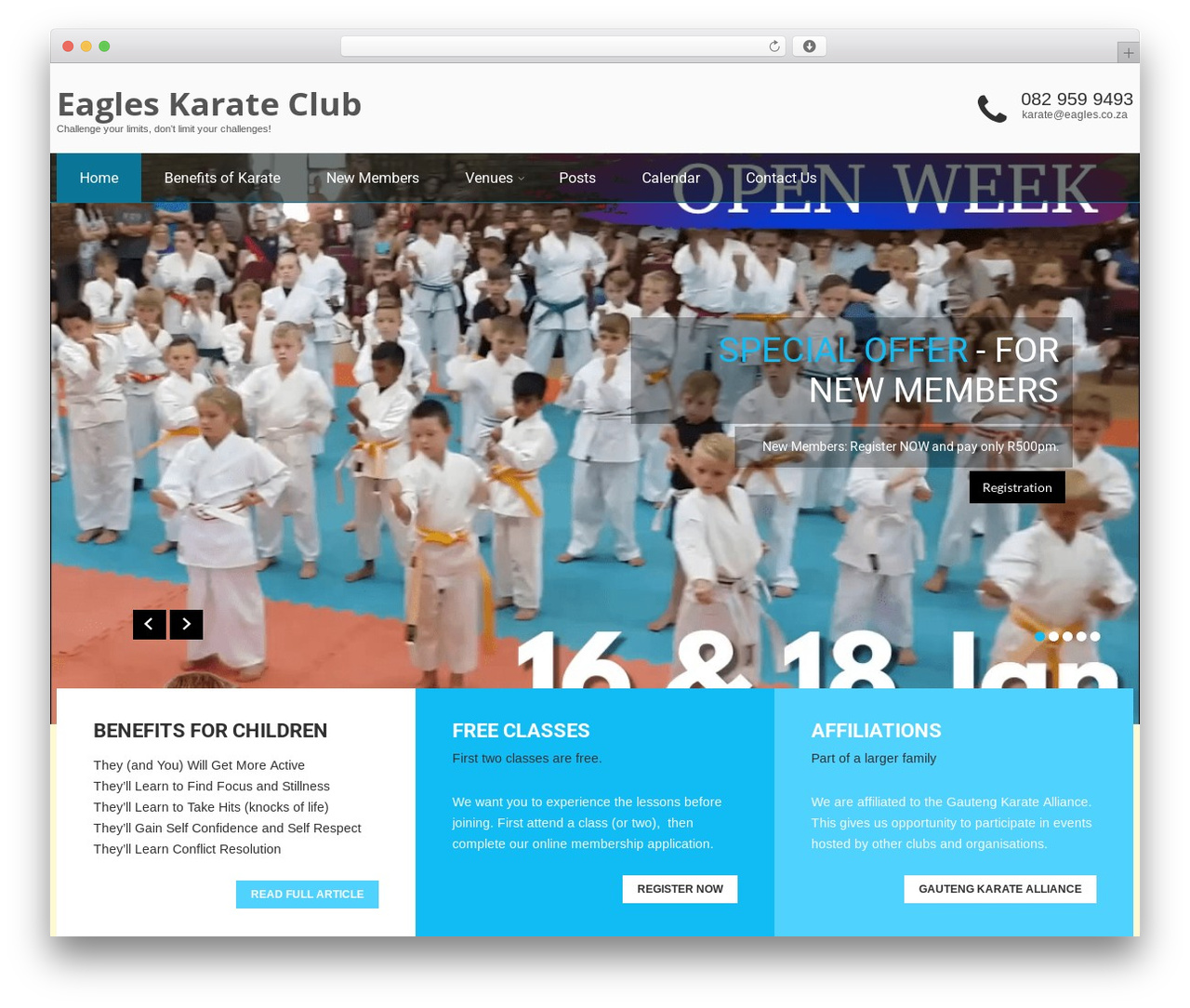 Strong theme WordPress - eagles.co.za