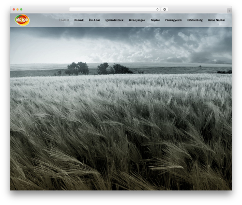 Theme WordPress Elements - eloige.hu
