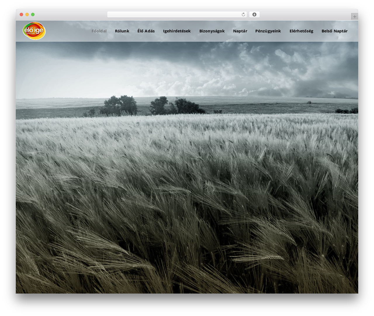 Theme WordPress Elements - eloige.hu Theme WordPress Elements - eloige.hu