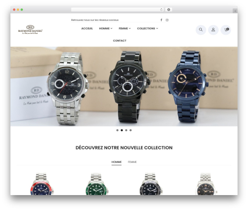 Theme WordPress Zigcy Lite - raymond-daniel.com
