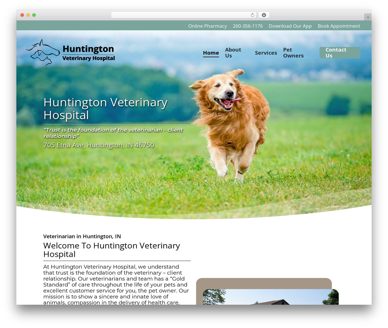 Theme WordPress Salient - huntingtonveterinary.com Theme WordPress Salient - huntingtonveterinary.com