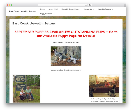 Google mp3 audio player WordPress plugin - eastcoastllewellinsetters.com