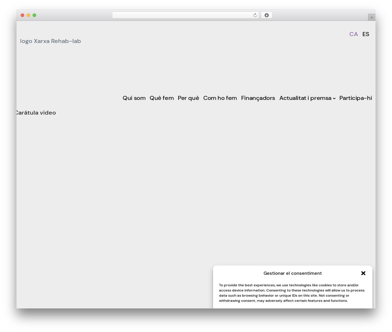 Atomic Blocks Child WordPress theme design - rehab-lab.cat