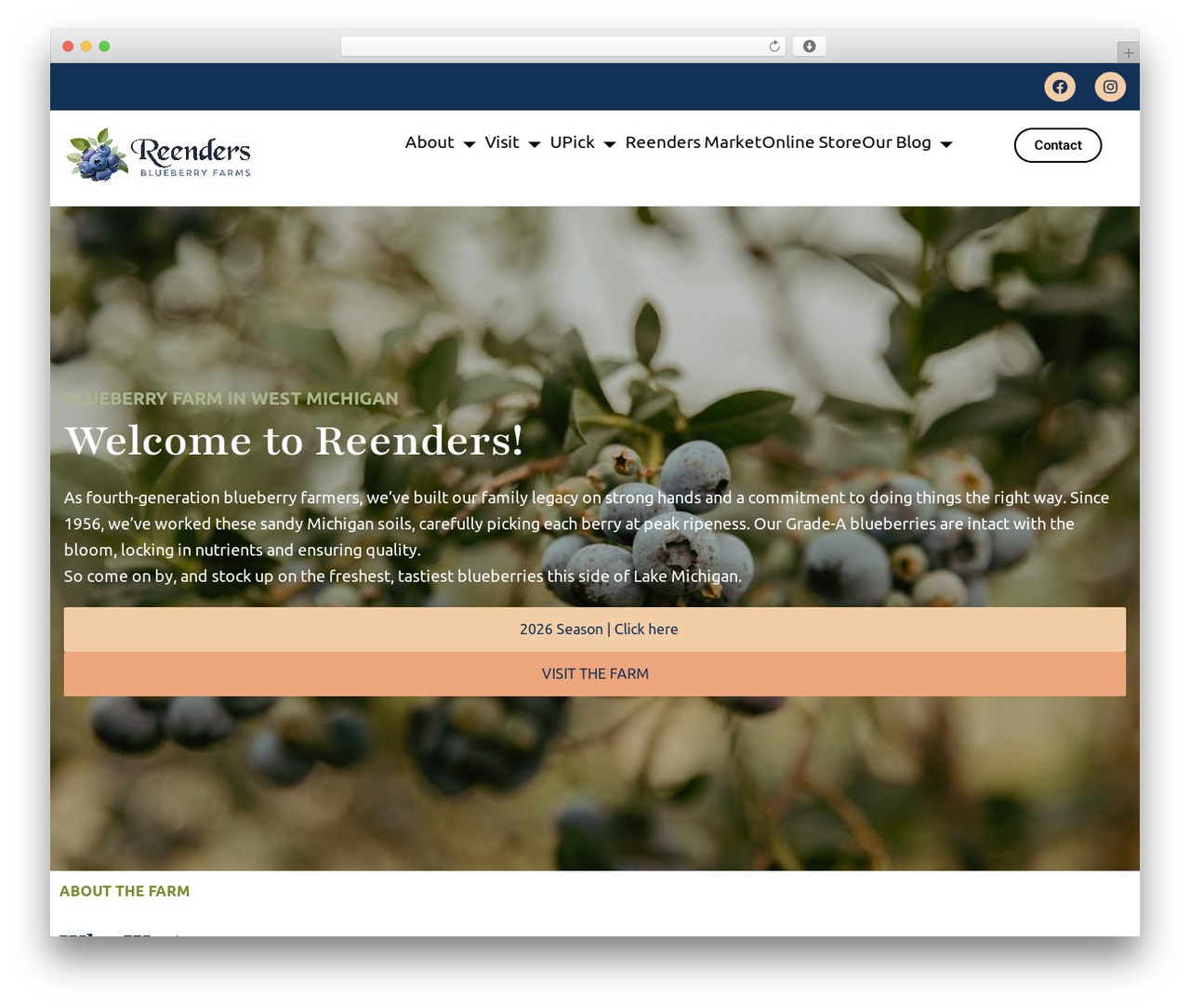 Basic Theme premium WordPress theme - reendersblueberryfarms.us Basic Theme premium WordPress theme - reendersblueberryfarms.us