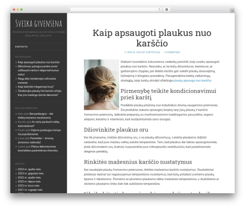 Flat WordPress theme - elabas.lt