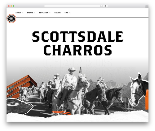 Conditional extra fees for woocommerce pro WordPress plugin - charros.com