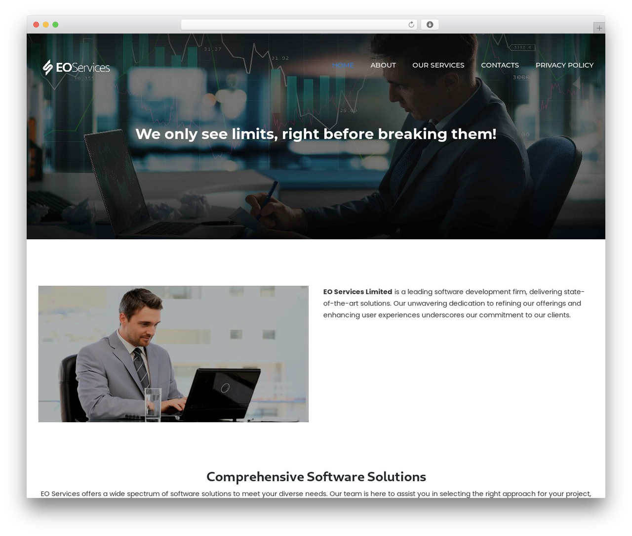 plan WP theme - eoservices.net
