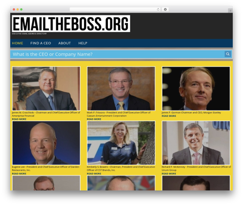 Theme WordPress cherry - emailtheboss.org