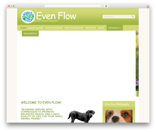 Facebook AWD All in one (facebook-awd) free WordPress plugin - evenflowholisticvet.com Facebook AWD All in one (facebook-awd) free WordPress plugin - evenflowholisticvet.com