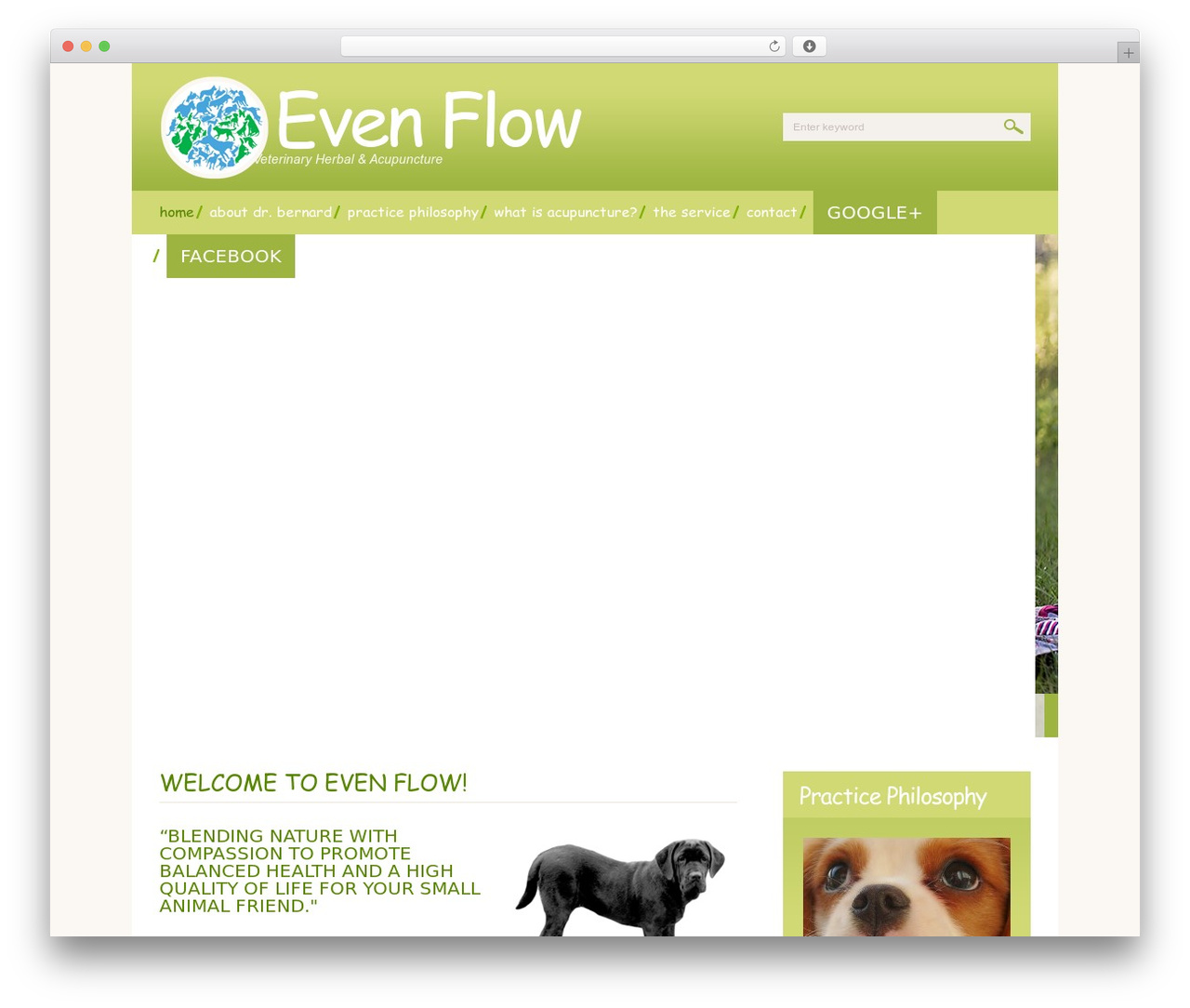theme1938 premium WordPress theme - evenflowholisticvet.com theme1938 premium WordPress theme - evenflowholisticvet.com
