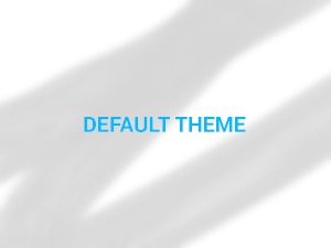 WordPress theme default_theme