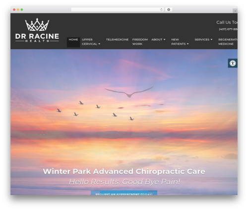 WordPress theme Parent Theme - racinechiropracticorlando.com