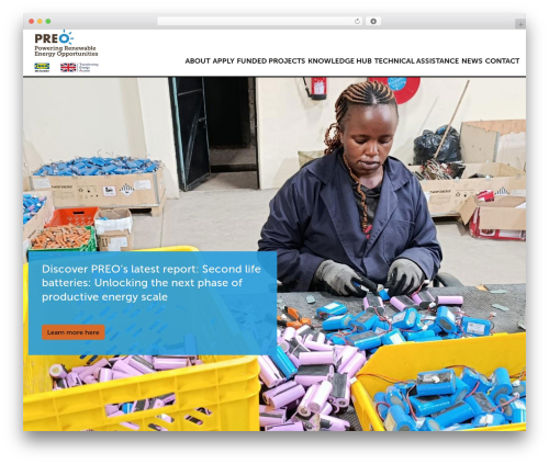 WordPress theme Understrap Child - preo.org