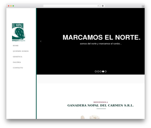 WordPress theme Vision WP - elnopaldelcarmen.com.ar