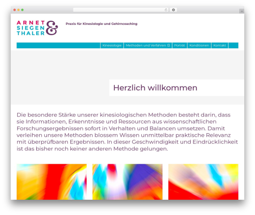 Create WP theme - kinesiologie-und-gehirncoaching.ch
