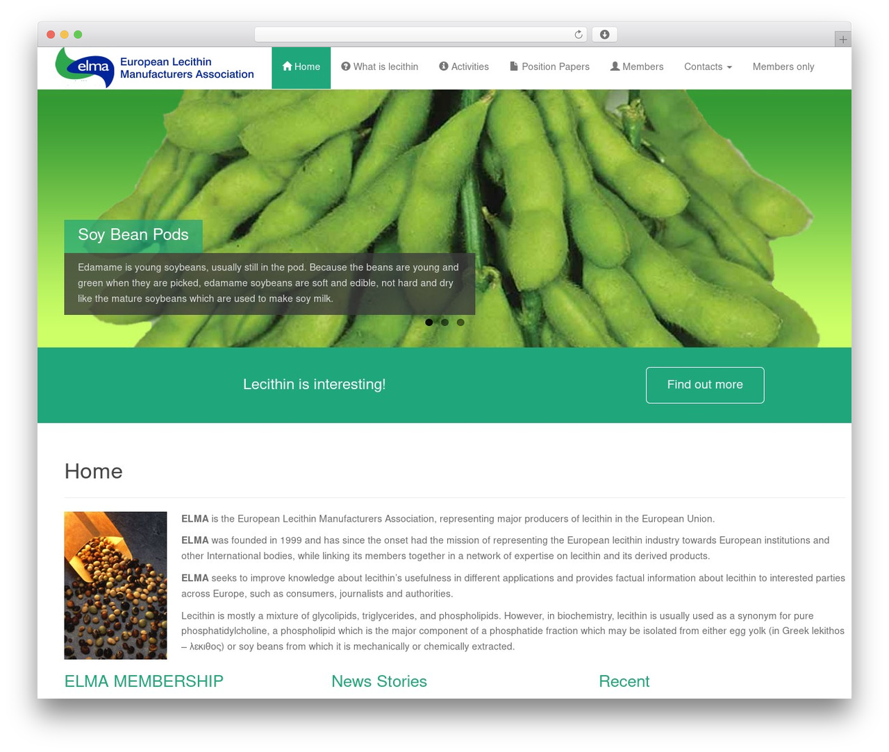 Dazzling free WordPress theme - elma-eu.org Dazzling free WordPress theme - elma-eu.org