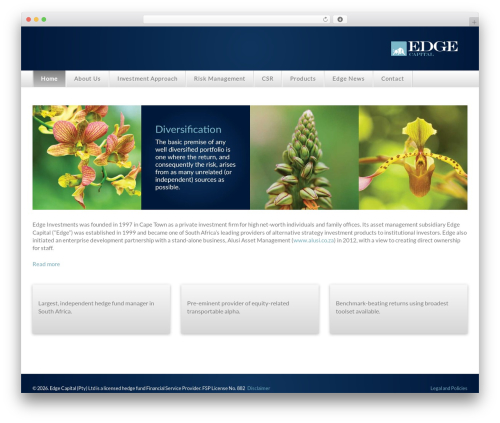 Edge Capital Responsive top WordPress theme - edge.co.za