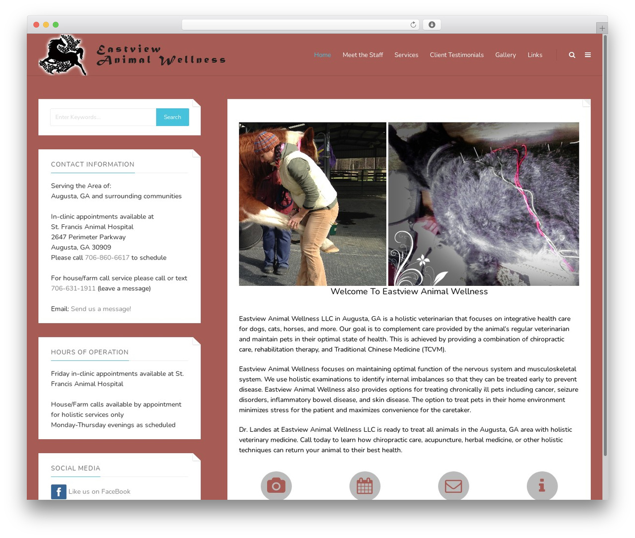 Fold WordPress Theme theme WordPress - eastviewanimalwellness.com Fold WordPress Theme theme WordPress - eastviewanimalwellness.com