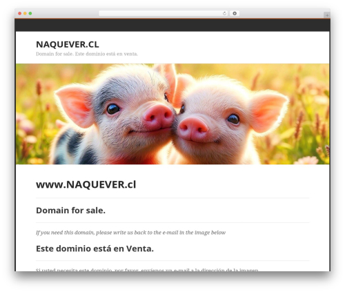 Stargazer theme WordPress - naquever.cl