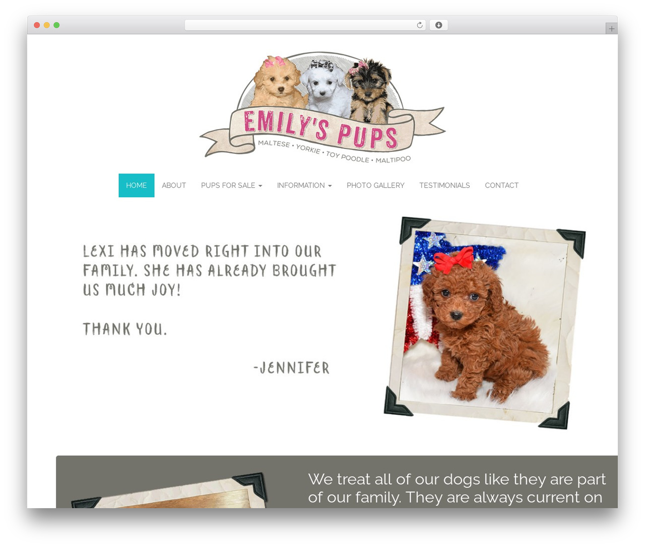 Theme WordPress bbtheme - emilyspups.com Theme WordPress bbtheme - emilyspups.com