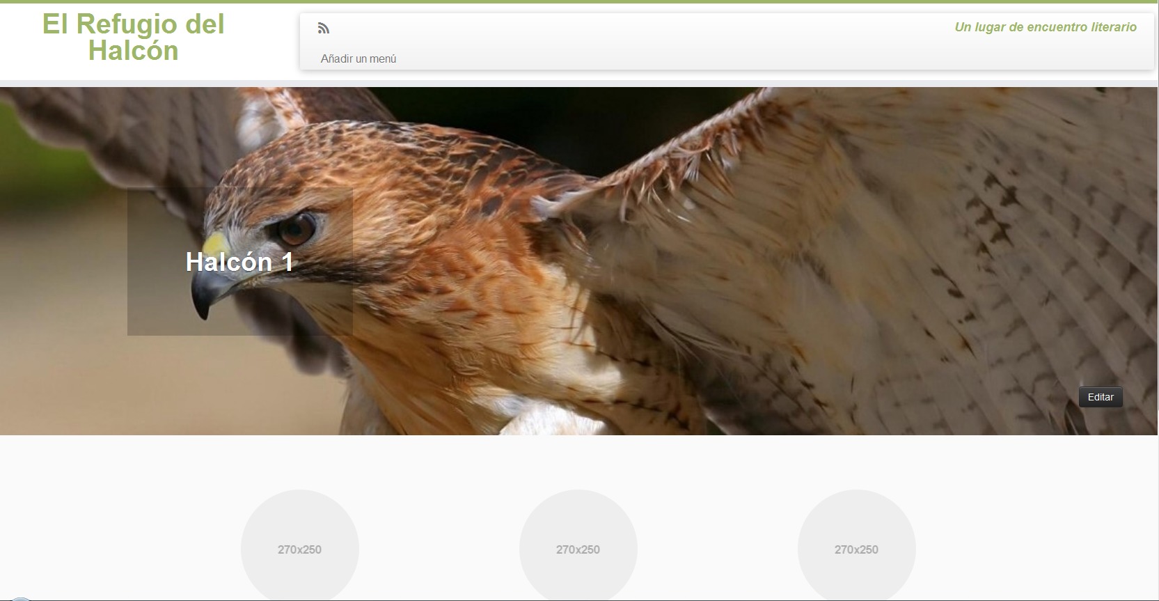 WordPress theme Customizr Child 1