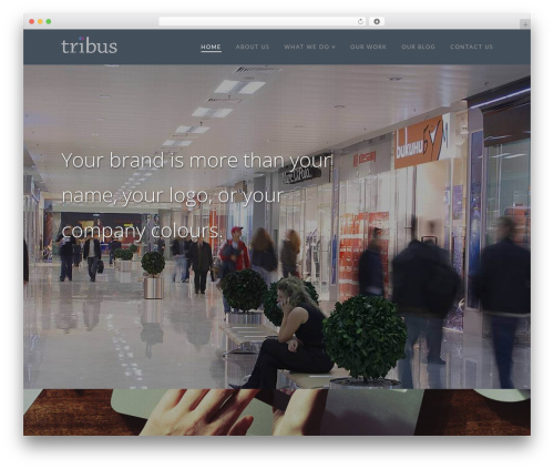 X email mailchimp WordPress plugin - tribuscreative.com