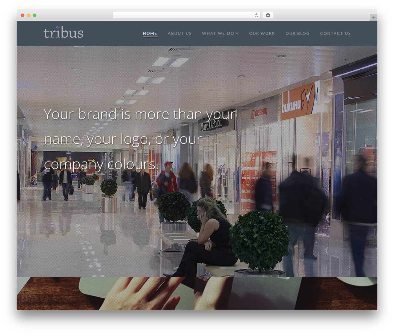 WordPress theme X - tribuscreative.com WordPress theme X - tribuscreative.com