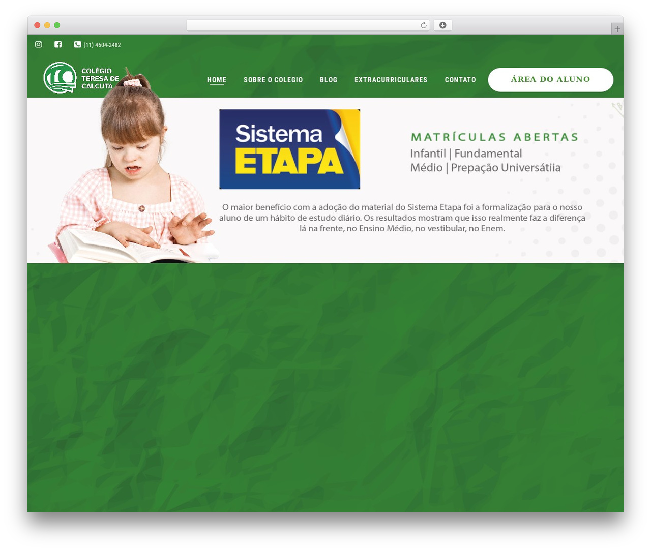 Camille theme WordPress - colegiotc.com Camille theme WordPress - colegiotc.com