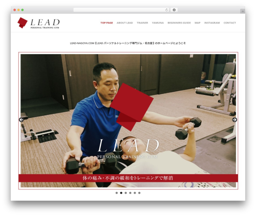 Create WordPress theme - lead-nagoya.com