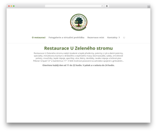 Responsive portflio pro WordPress plugin - uzelenehostromu.info