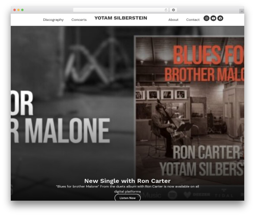 Hello Elementor theme WordPress - yotammusic.com