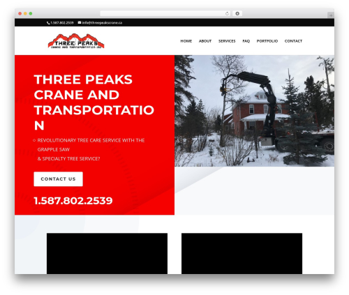 Divipasswords WordPress plugin - threepeakscrane.com