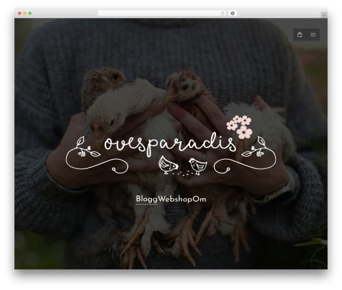 The7 WordPress theme - ovesparadis.com