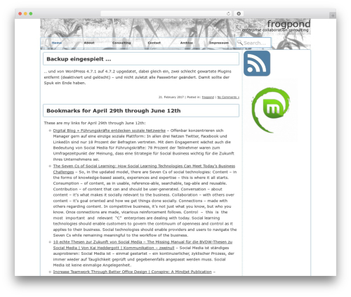 Theme WordPress Constructor - frogpond.de